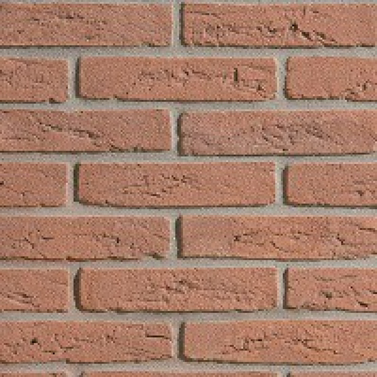 Mattone-Terrae-Rosso-Forte, San Marco Terreal